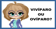 Vivíparo ou ovíparo?