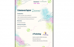infografia_junho